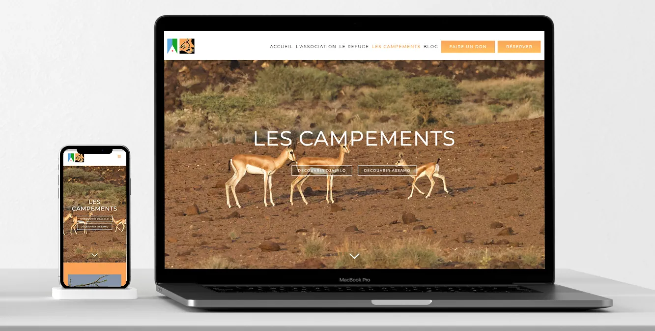 site DECAN
