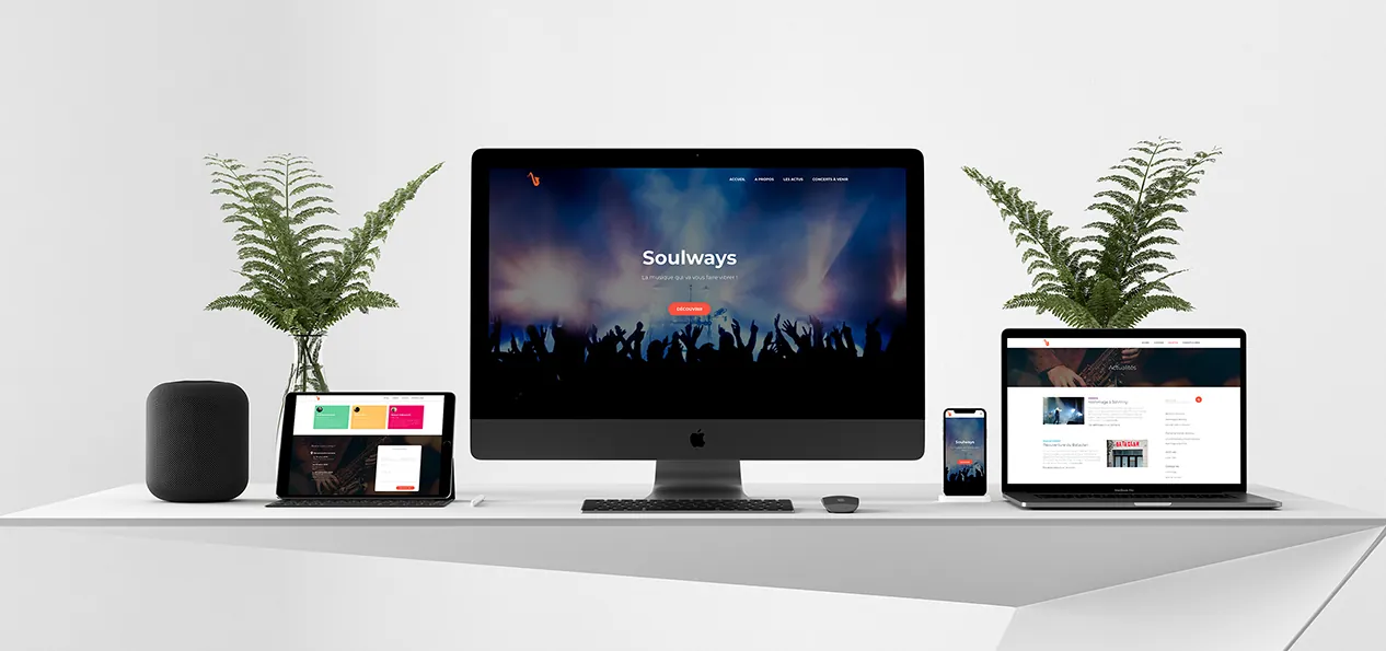 site Soulways pour certification Wordpress